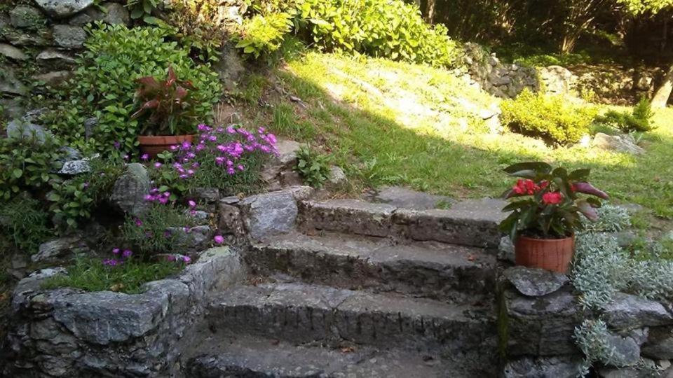 Casa Zizi Vila Crodo Exterior foto