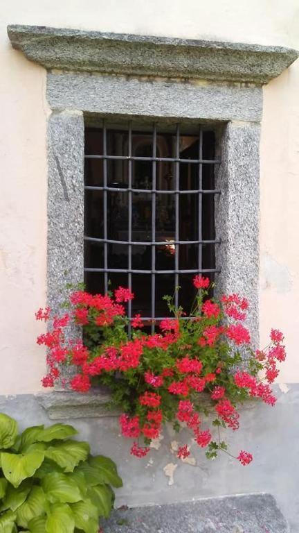 Casa Zizi Vila Crodo Exterior foto