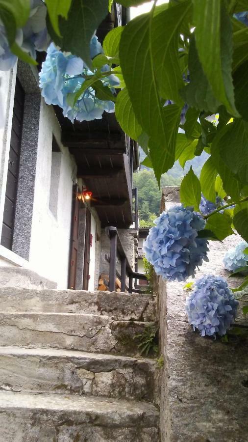Casa Zizi Vila Crodo Exterior foto